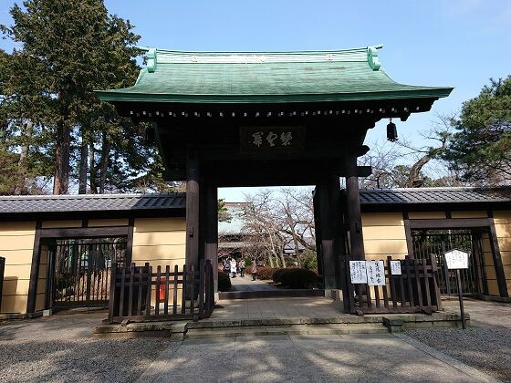 招福猫奉納所の招福殿 改装中 豪徳寺 夫婦スポーツ観戦記
