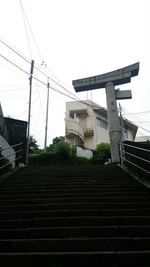 福山雅治 長崎 片足鳥居にクスノキに 夫婦スポーツ観戦記 福山雅治 長崎 片足鳥居にクスノキに 夫婦スポーツ観戦記