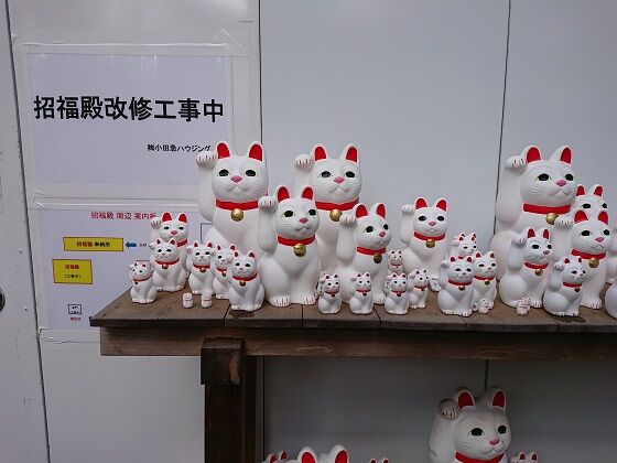 招福猫奉納所の招福殿 改装中 豪徳寺 夫婦スポーツ観戦記