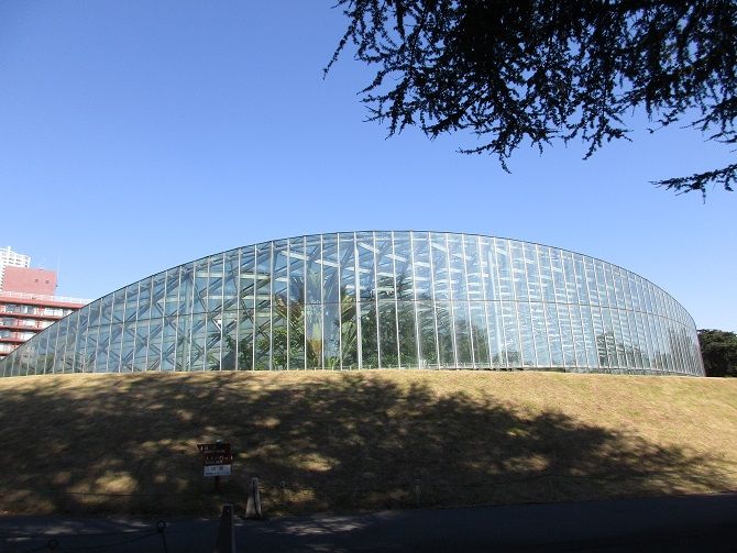 新宿御苑 大温室 夫婦スポーツ観戦記