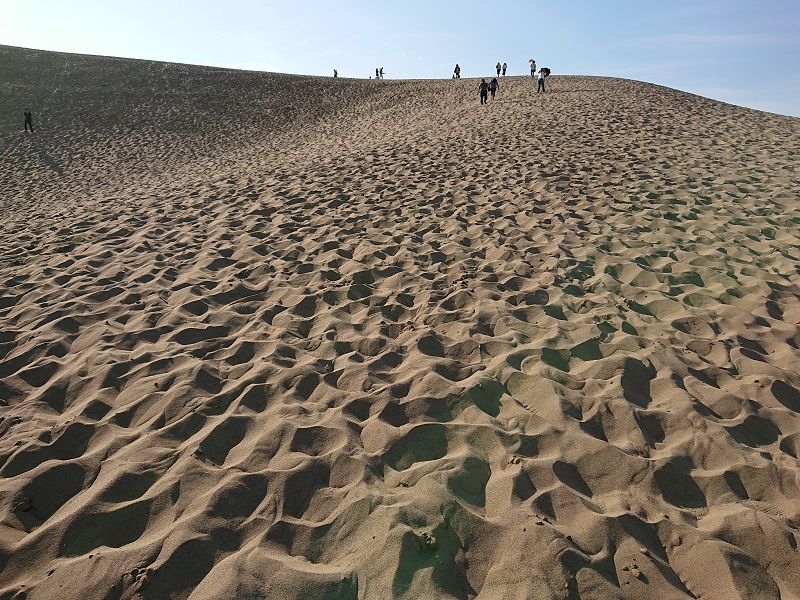 山陰旅行2 鳥取砂丘 夫婦スポーツ観戦記