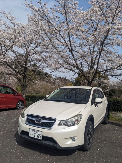 PXL_20260329_055115617