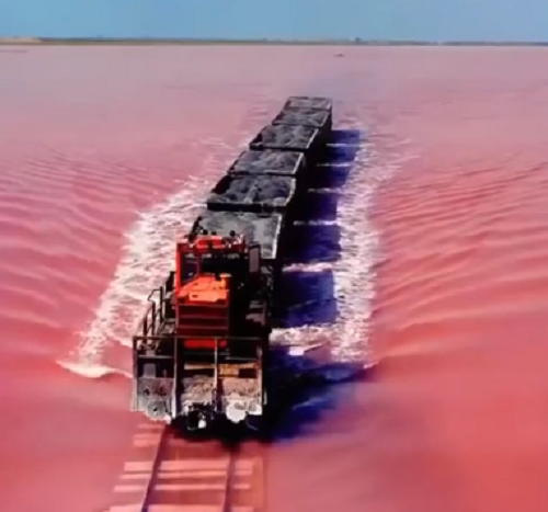 シベリアのピンクの湖の中を走る列車があのアニメの世界みたいだ！ｗ