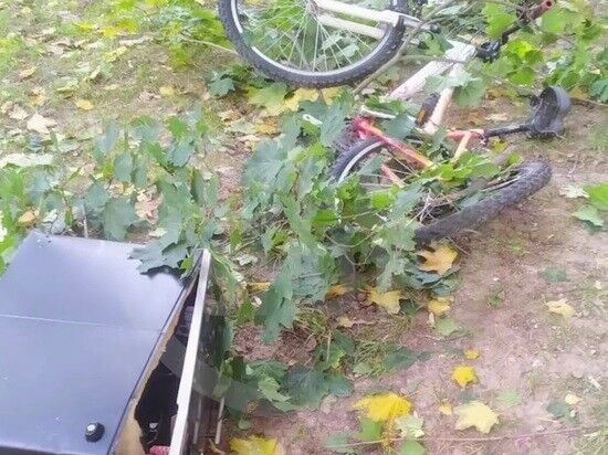 ブラをした男が自転車でバルコニーから飛び出して落下した！ 何がし 