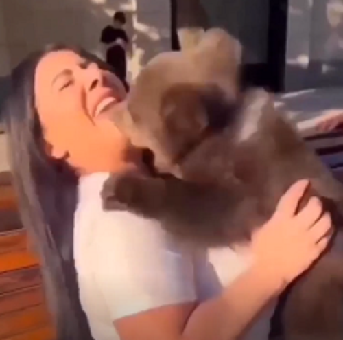 子熊はかわいいと言ってもテディベアなんかじゃないのがよく分かる映像がこれ！ｗ（２つのビデオ）