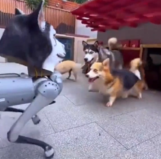 犬型ロボットが犬の社会に溶け込めるのか実験してみた結果…！ｗ