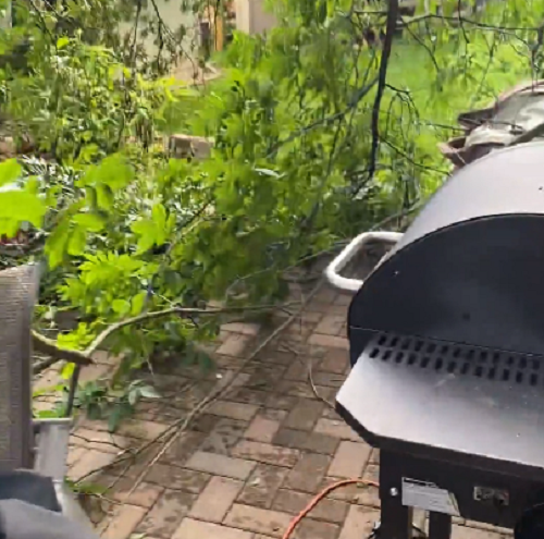 木が倒れてきて家が大変なことになったがBBQの肉が無事だったのでヨシとするって、ならないならない！w