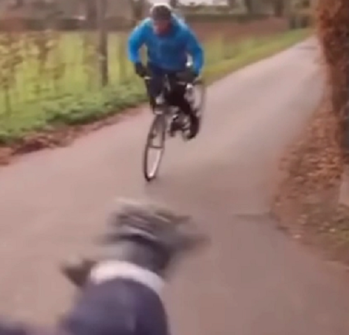 警官がジェダイの力を使い自転車の男を止める瞬間が撮影された！ｗ