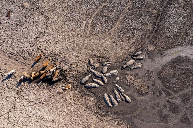 激しい干ばつにより、スペインで紀元前5,000年の遺跡が再現