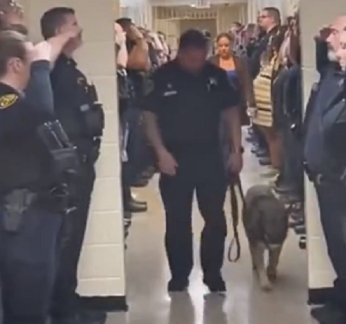 「警察犬」が癌と診断され最後の散歩に行くとき同僚の警察官たちが敬礼で見送っていた！