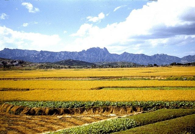 korea_53