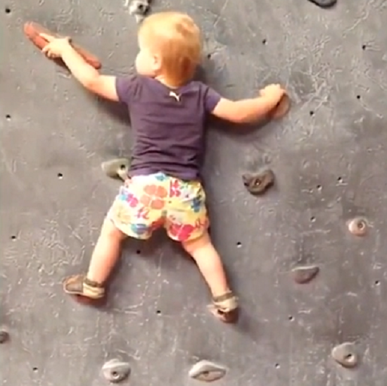 生後19ヶ月の幼児がボルダリングのプロのように壁を登ります！