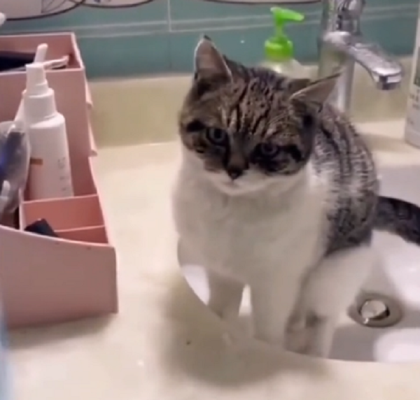 パタゴニア メンズ フリース Us S 日本m相当 Fif Is パタゴニア メンズ フリース Us S 日本m相当 Fif Is