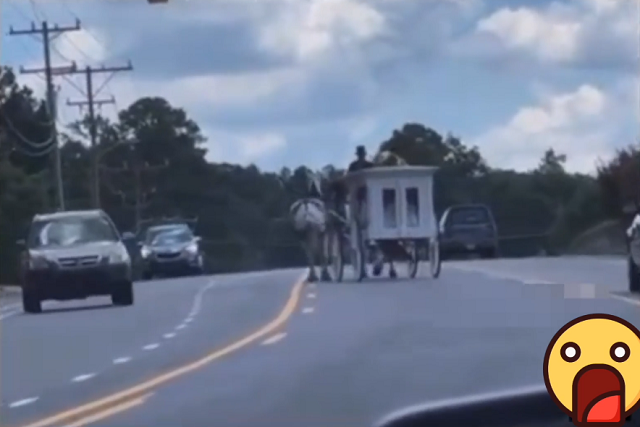 棺を墓地に運ぶ馬車の馬が突然死してしまうハプニング！