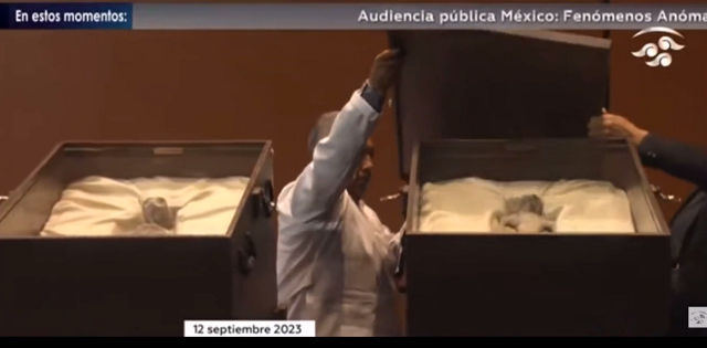 メキシコ議会がおよそ1000年前のものと思われる「エイリアン」のミイラを公開した！（2つの動画）