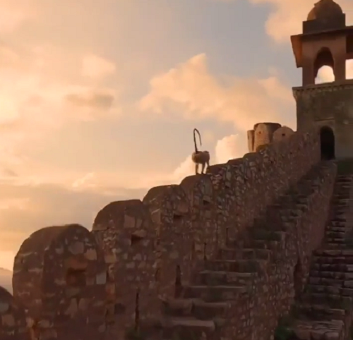 アメル城の長い城壁を走るサルがいる壮大な景色が凄い！