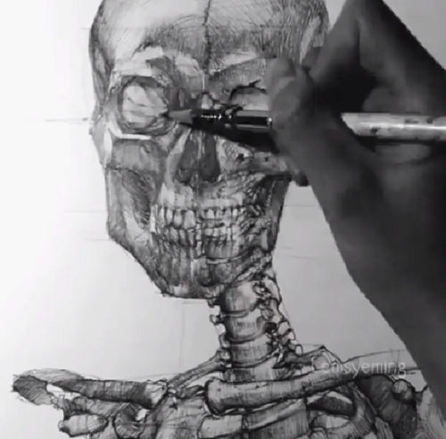 美人画を描くには解剖学から学ぶ必要があるようです！ｗ