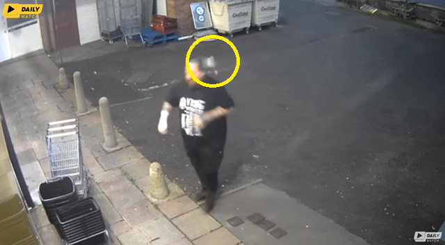ハトから衝突されおもいきり頭突きをくらった男性！ｗ
