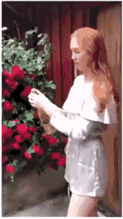 gifs_24