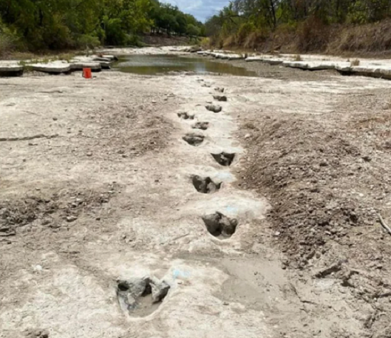 干上がった川底から1億1300万年以上前の恐竜の足跡が見つかった！（写真とビデオ）