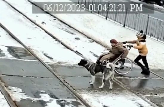 車イスの女性が線路に嵌って立ち往生していたが、イヌが大活躍して救助した！