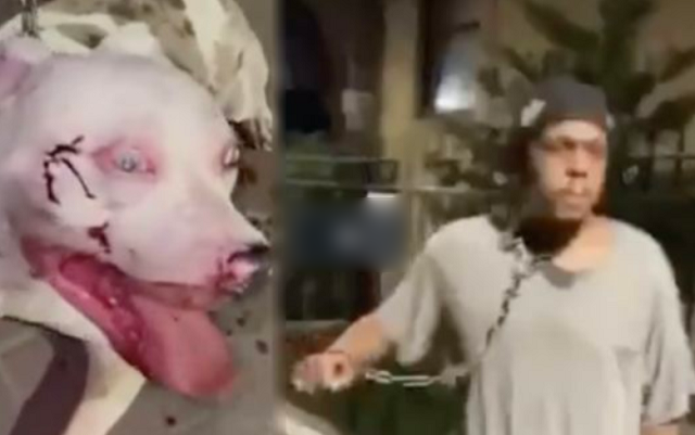 犬を虐待した男が特定され引きずり出され制裁されている！