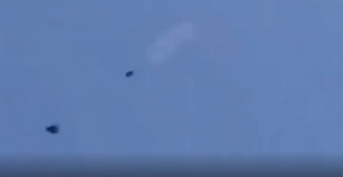 ハヤブサが獲物を撃墜して仕留めた瞬間が怖すぎる！　