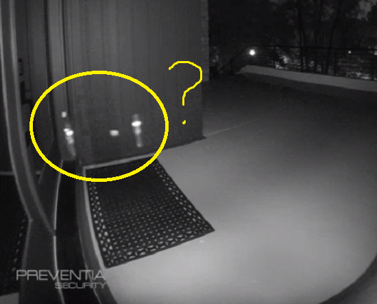 妖精のしわざ？　夜中にドアを叩きセンサーライトが点いたが誰もいないって、これは何！？