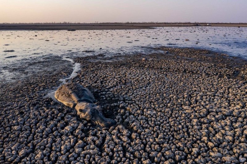 激しい干ばつにより、スペインで紀元前5,000年の遺跡が再現