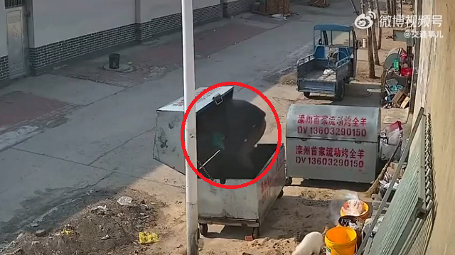 ゴミ回収ボックスを修理してたら閉じ込められてしまった男性って、ギャグ漫画かよっ！ｗ