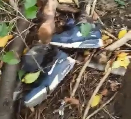 森の中でスニーカーを履いた白骨死体を見つけてしまった少年たち！