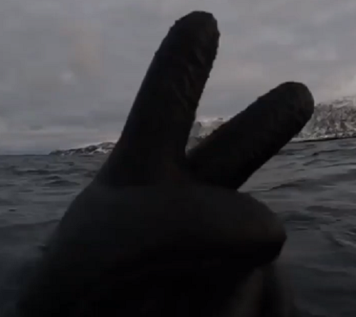 ノルウェーのフィヨルドが深く暗く、そこで泳ぐ勇気はありますか！？