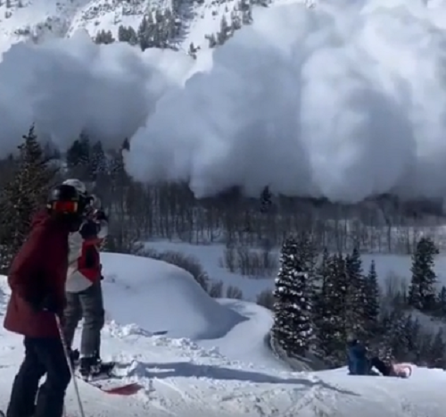 「雪崩」を呑気に眺めていたら想像以上の規模で巻き込まれてしまった人たち！