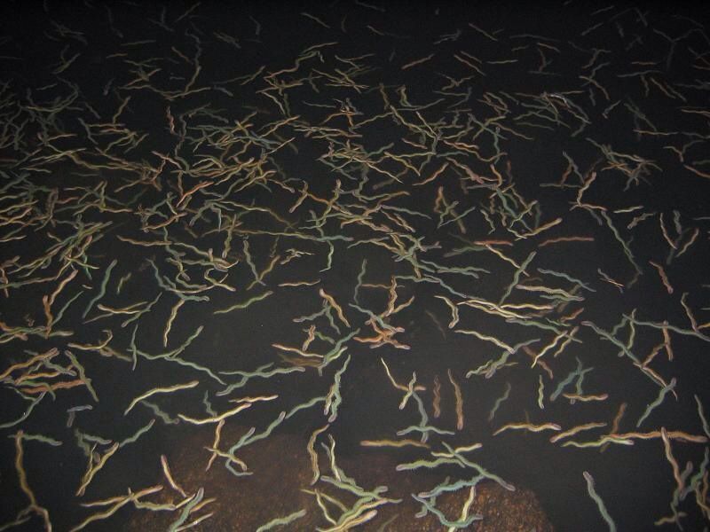 これからのスズキ釣り 海光