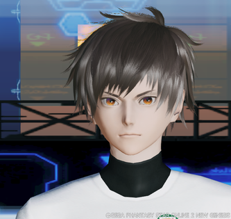 ランダムアッシュ
