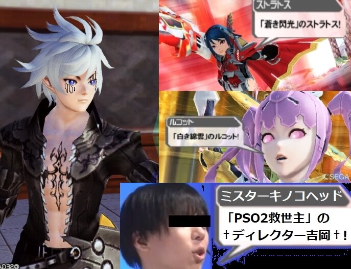 Pso2プレイヤーのキャラ名について調査 ネーミングセンス ぷそファン