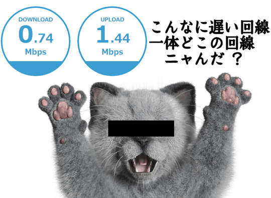 ニャーロ目線付き