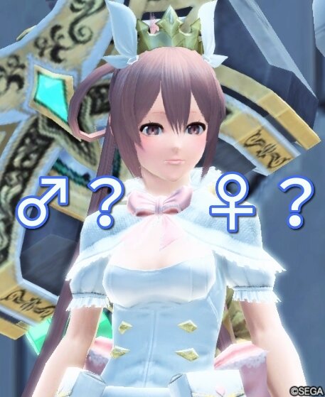 Pso2話題 ネカマにありがちなキャラクリとは ネカマvsネカマ ぷそファン Pso2ngs