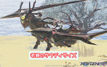 サウディサイズ