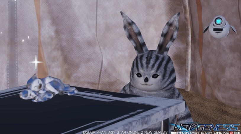 Pso2ngs話題 Ngsキャットに続きngs鳥が発見される どうぶつ ぷそファン