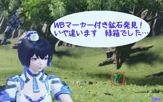 WBマーカー箱 withラン