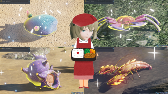 ギャザ素材&弁当