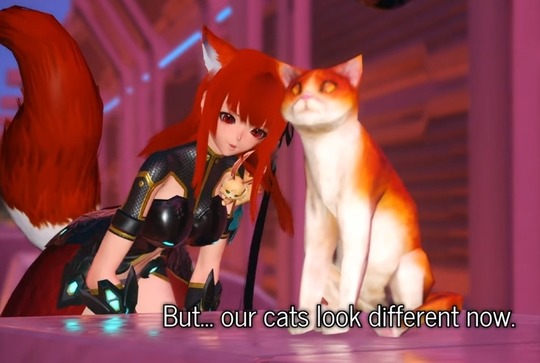 Cat Location Guide