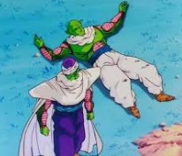 ネイルアンドピッコロ