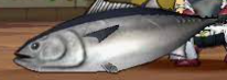 マグロバストゥー