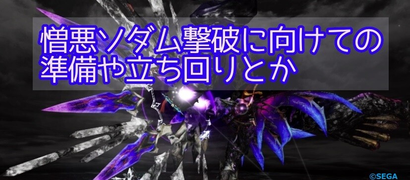 Pso2 憎悪原初クリアに向けての準備や立ち回り 攻略にあらず ぷそファン Pso2ngs