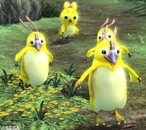 ナヴラッピー