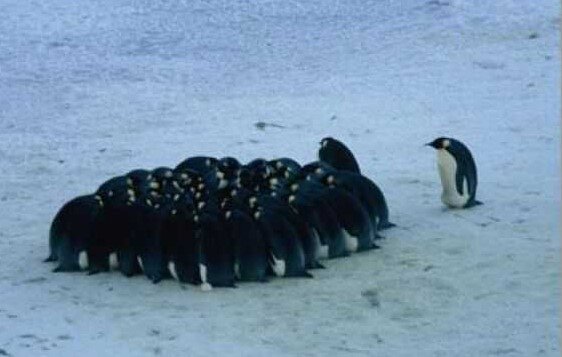 2019y11m15d_033812566