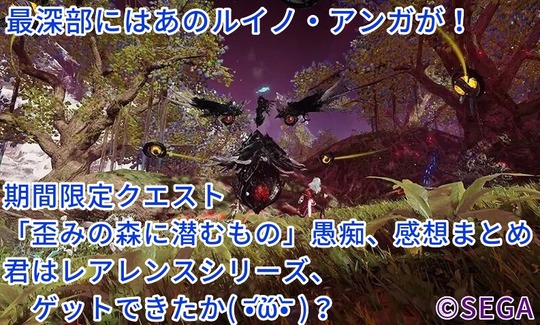 ルイノアンガ感想