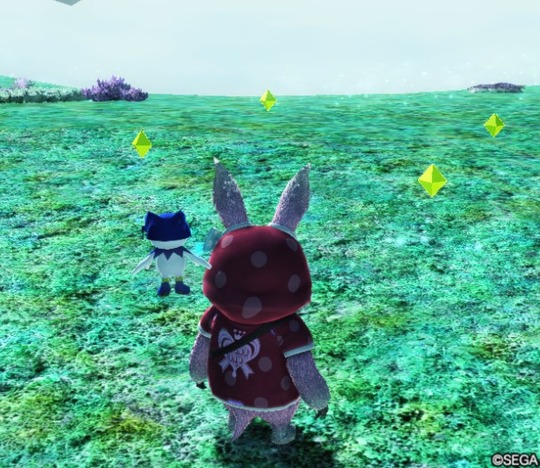 メセタサクール　リリコ